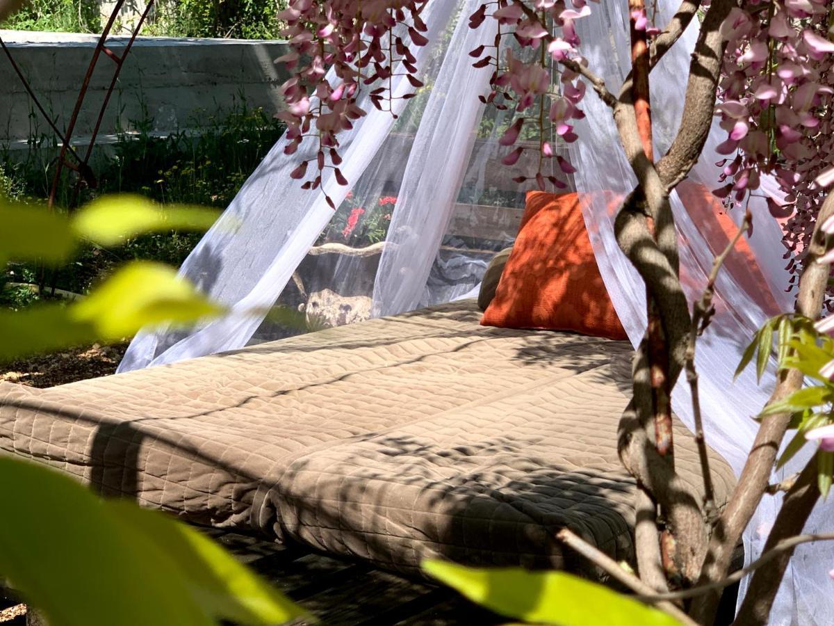 ブラガイ Casa Botanicaヴィラ エクステリア 写真