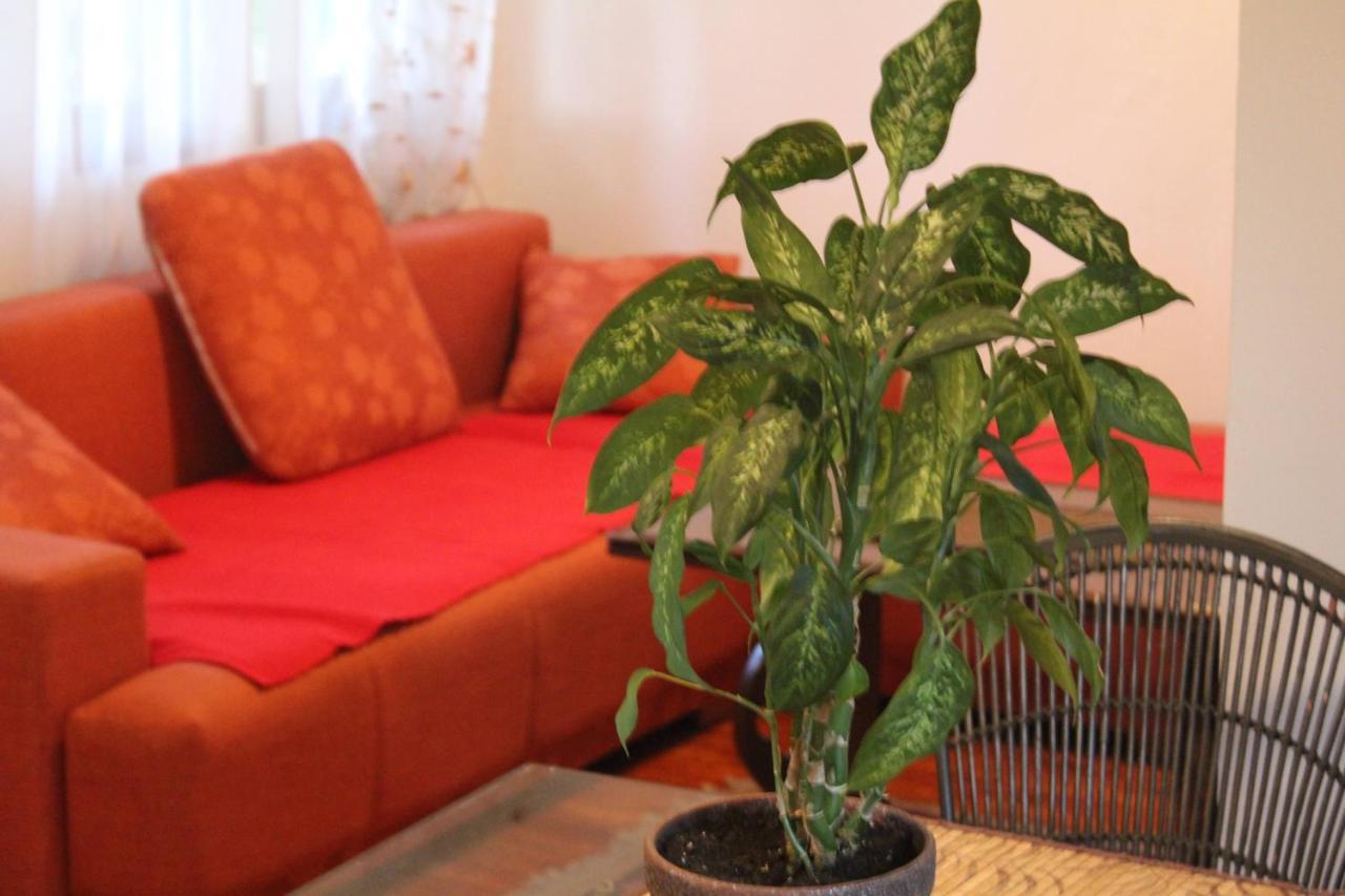 ブラガイ Casa Botanicaヴィラ エクステリア 写真